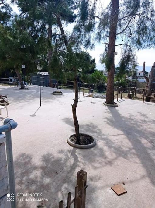 Appartamento In Villa Con Pineta Leporano Dış mekan fotoğraf